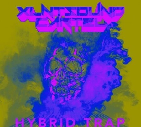 XLNTSOUND CARTEL (BONUS: Hybrid Trap/Future Bass Synth Lead One-Shots) WAV